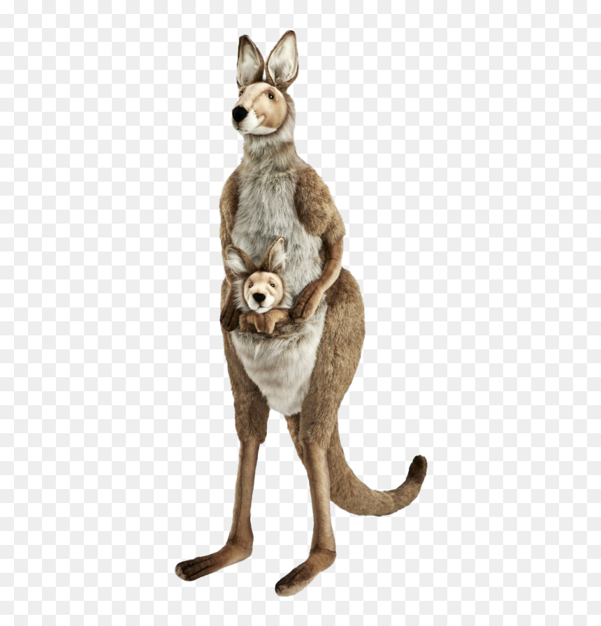 Kangaroo Wallaby Png Picture - Peluche Kangourou, Transparent Png - kangaroo png