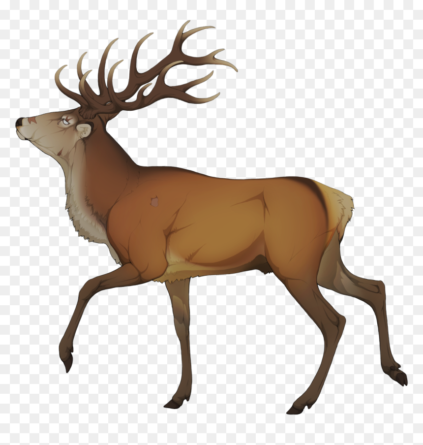 Elk Clipart Golden Deer - Elk Clipart, HD Png Download - elk png