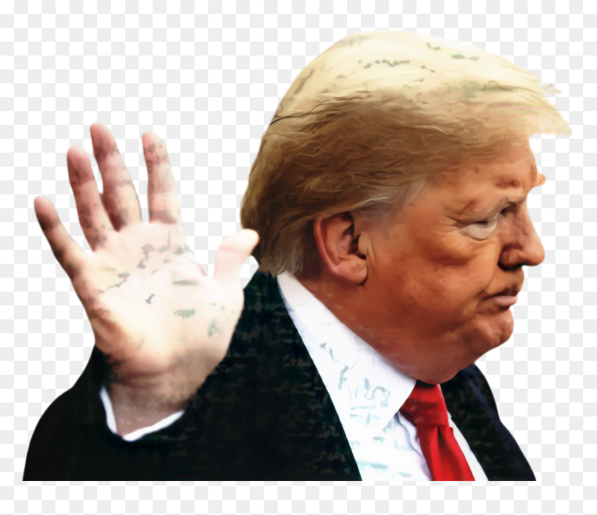 Donald Trump 2017 Presidential Inauguration The Truth - Donald Trump, HD Png Download - cnn png