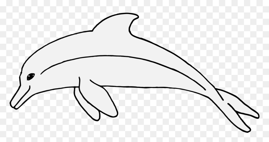 Tucuxi, HD Png Download - dolphins png
