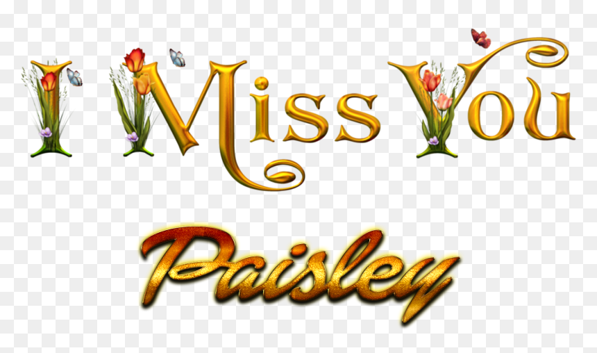 Paisley Miss You Name Png - Portable Network Graphics, Transparent Png - paisley png