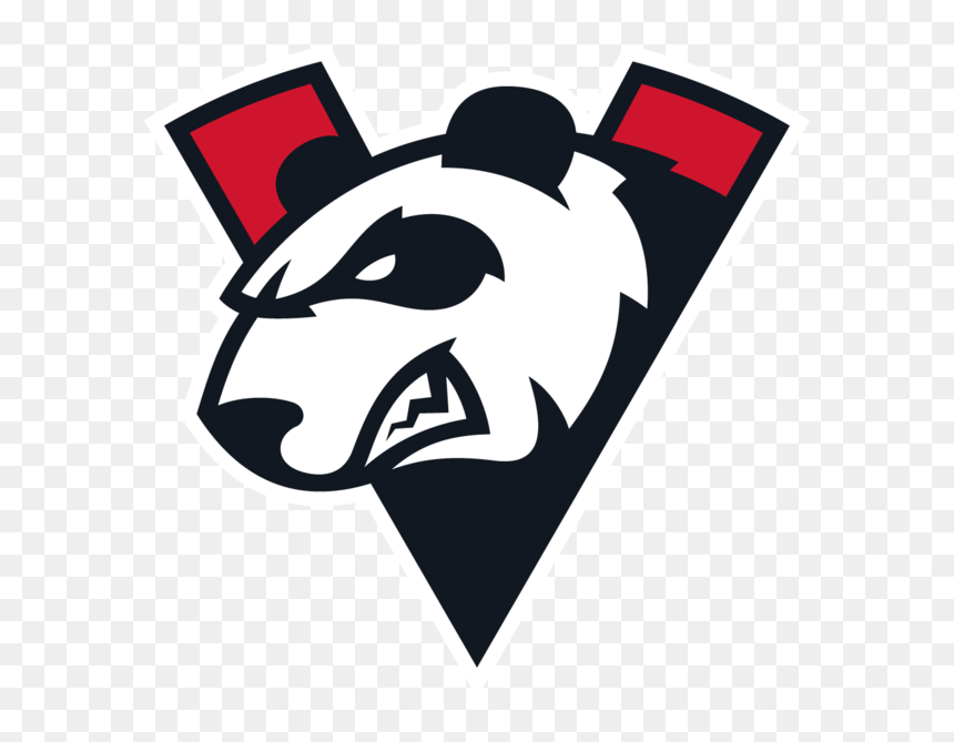 Virtus Pro, HD Png Download - pjsalt png