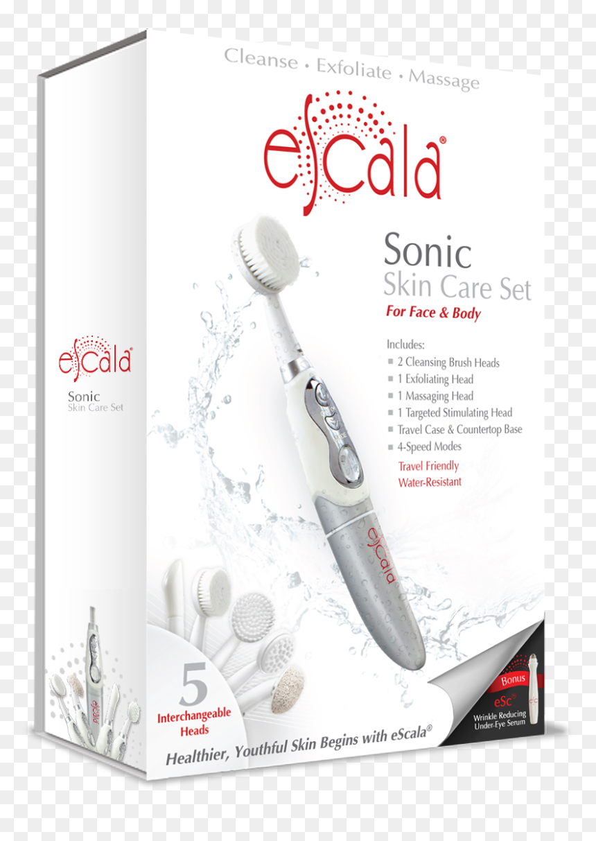 Escala-6, HD Png Download - bed bath and beyond logo png