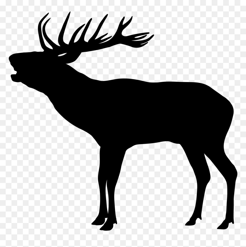 Elk Red Deer Silhouette Reindeer - Red Deer Silhouette Png, Transparent Png - elk png
