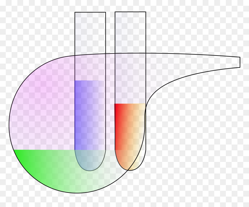 Test Tubes, HD Png Download - test tube png