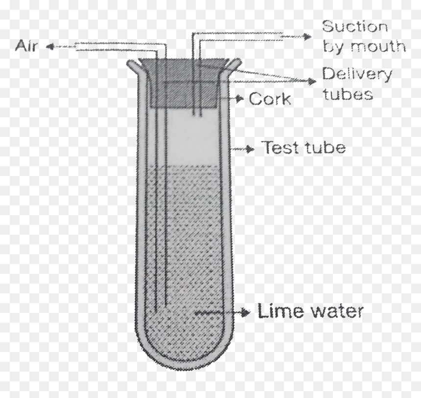 Diagram, HD Png Download - test tube png