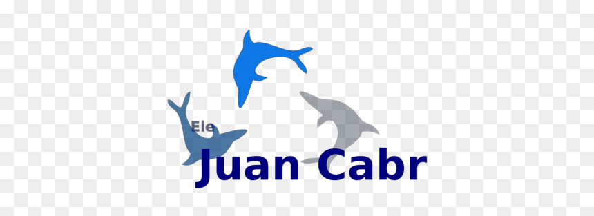 Dolphins Png, Transparent Png - dolphins png