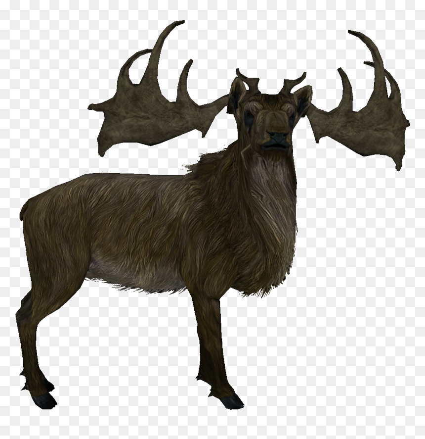 Elk - Grande Ramure Skyrim Id, HD Png Download - elk png