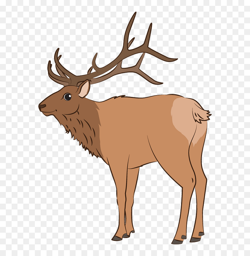 Elk Clipart - Antler, HD Png Download - elk png