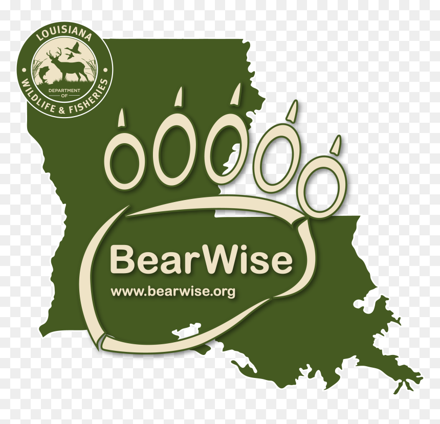 Louisiana Bear Wise Logo - Graphic Design, HD Png Download - louisiana png