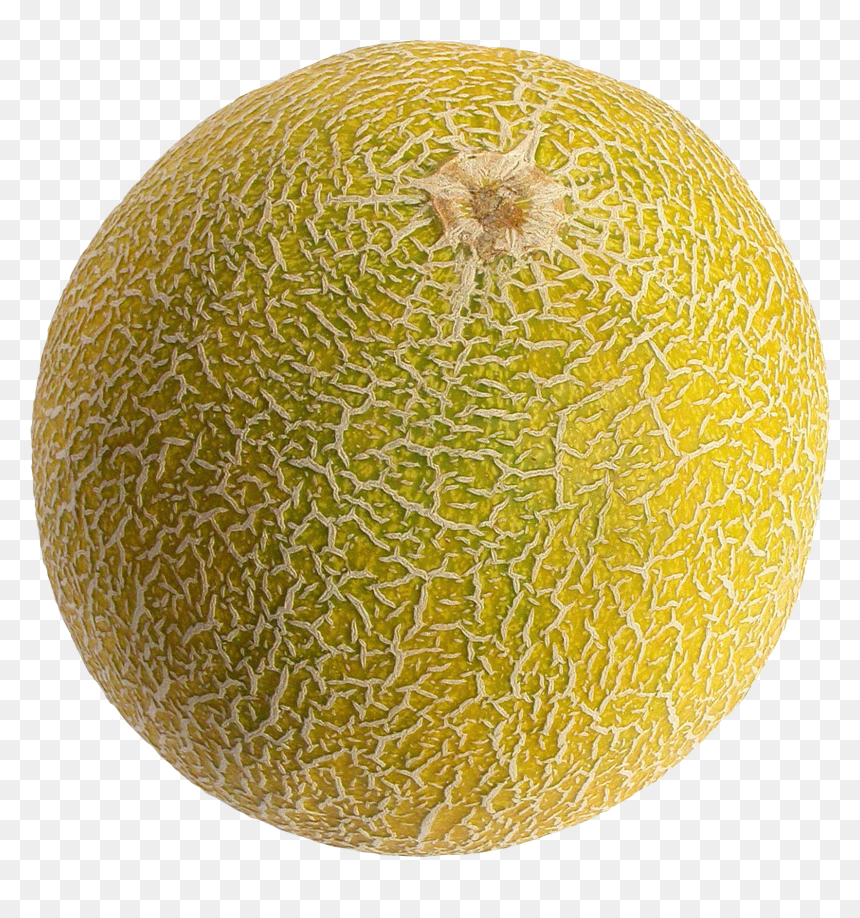 Free Png Melon Png Images Transparent - Melon Png, Png Download - melon png