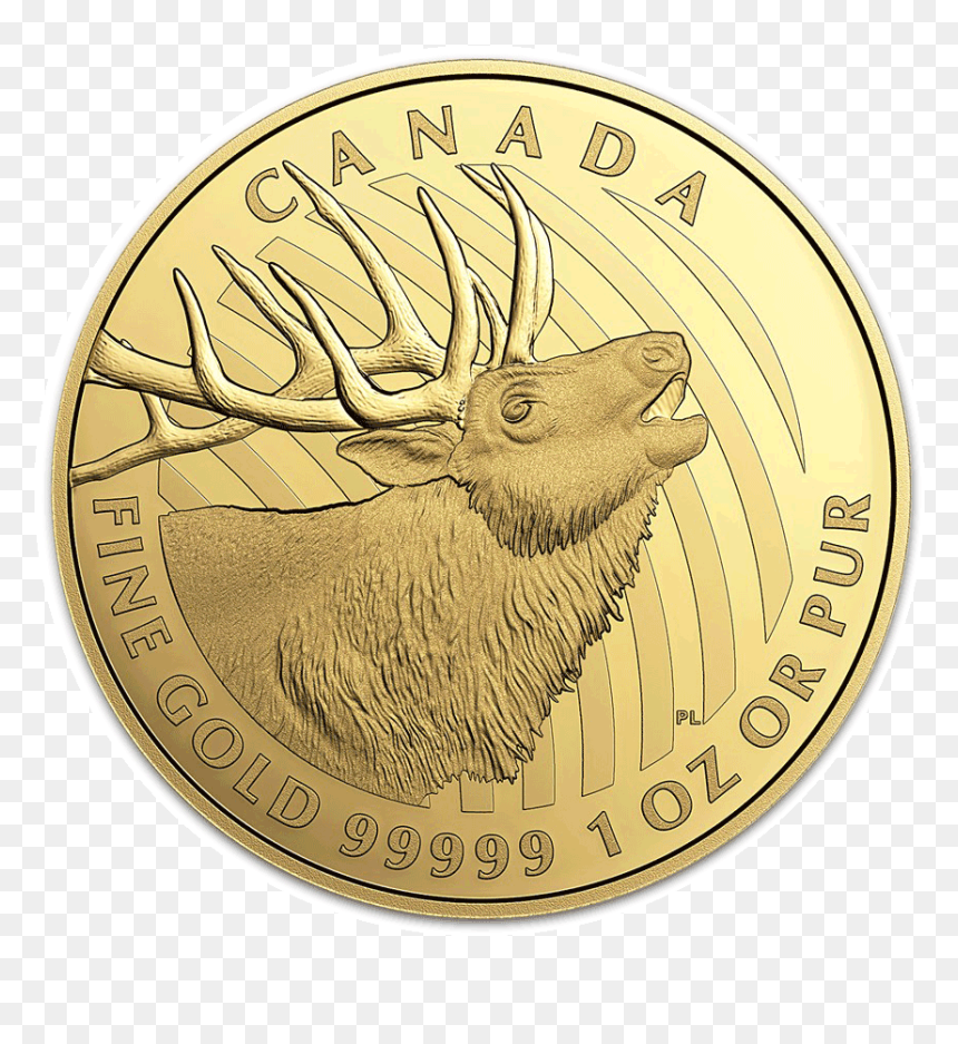 Elk Gold Rev - Canadian Gold Maple Leaf, HD Png Download - elk png
