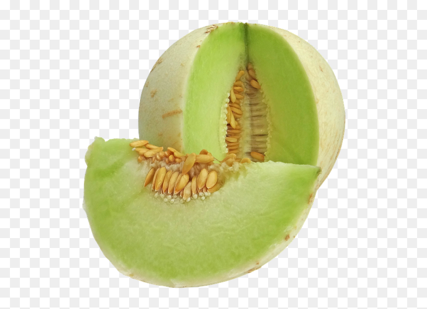 Thumb Image - Melon Transparent Honey Dew, HD Png Download - melon png
