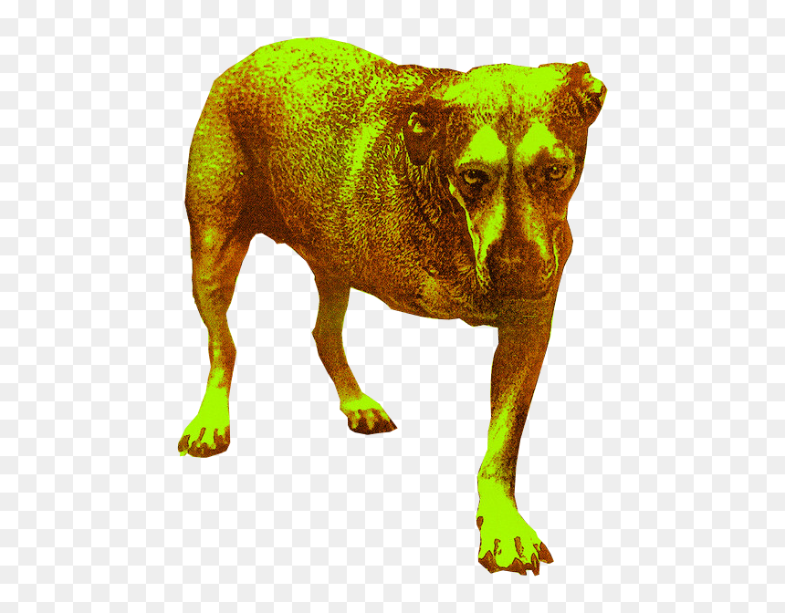 Alice In Chains Album, HD Png Download - tripod png