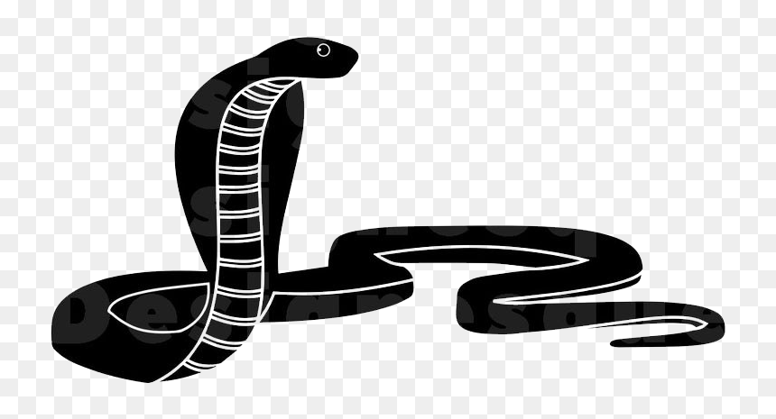 Cobra Png, Transparent Png - cobra png