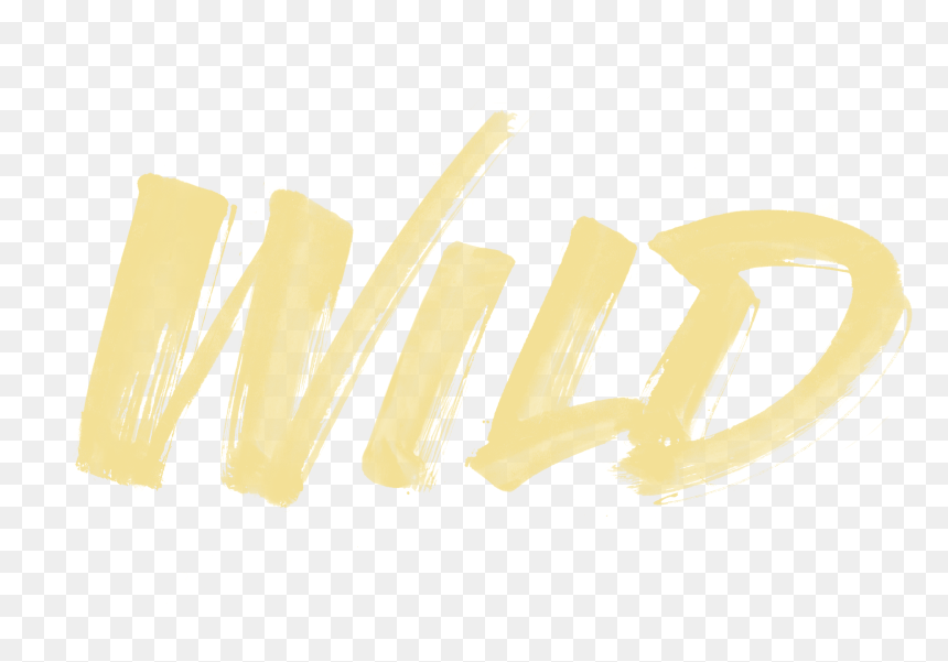 Wild From Troye Sivan - Calligraphy, HD Png Download - troye sivan png