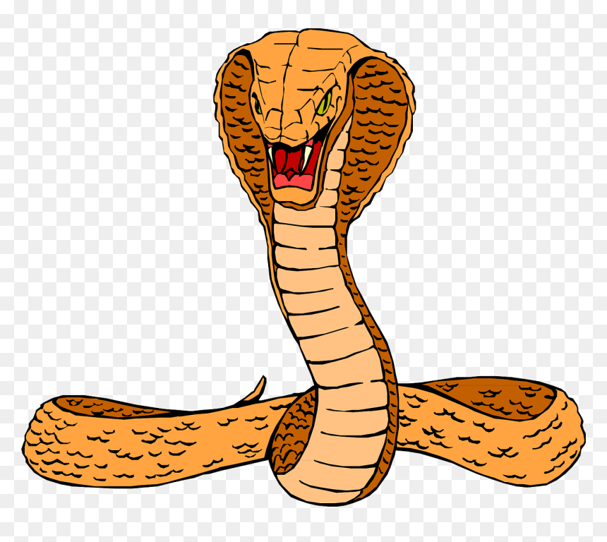 Transparent King Cobra Png - Cobra Clipart, Png Download - cobra png
