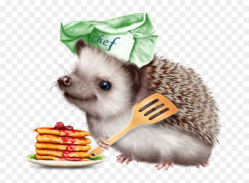 6314590 Hedgehog And Pancakes12 Hedgehog, Tube, Clip - Hedgehog With A Pancake, HD Png Download - hedgehog png