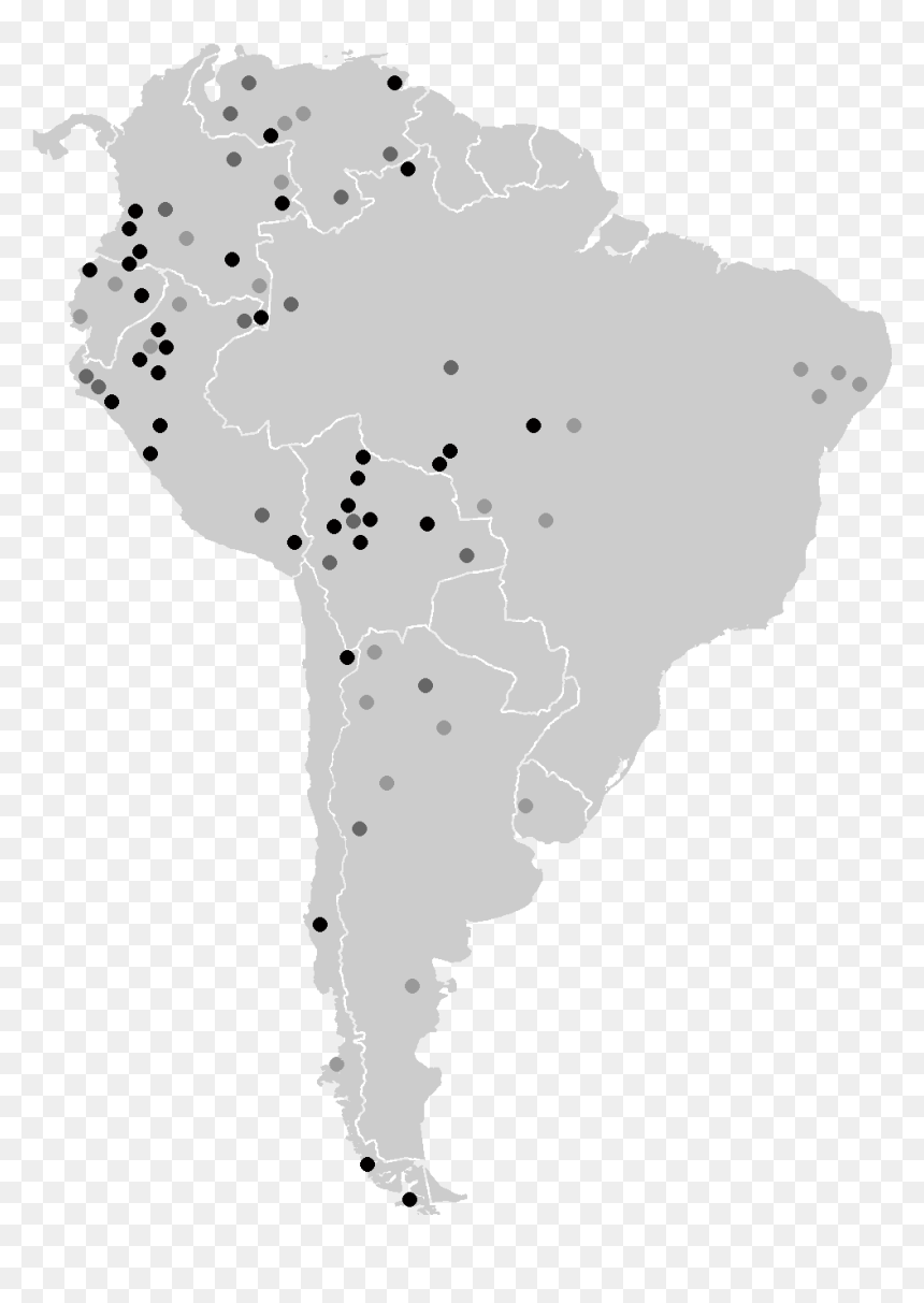 Isolates South America - Short Tailed Chinchilla, HD Png Download - south america png