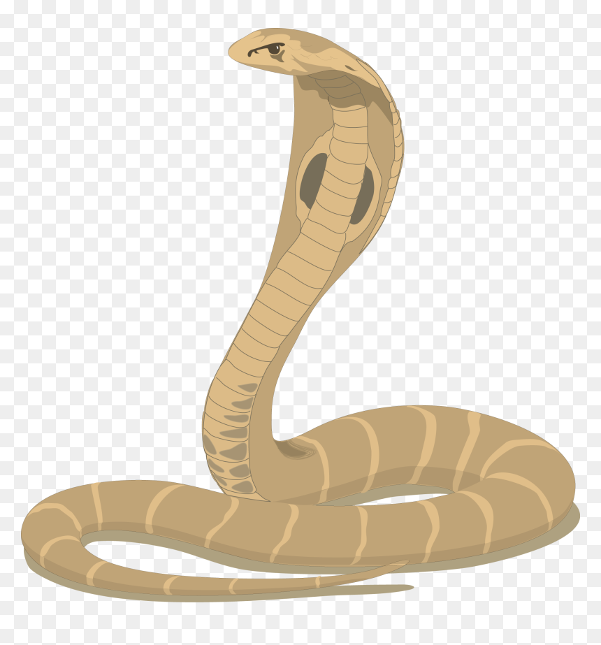 Free Cobra Cliparts, Download Free Clip Art, Free Clip - Nag Panchami, HD Png Download - cobra png