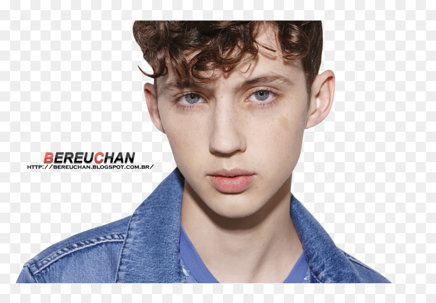 Troye Sivan , Png Download - Do Troye Sivan, Transparent Png - troye sivan png