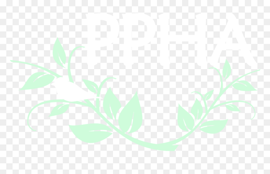 Vine Border Png , Png Download - Illustration, Transparent Png - vine border png
