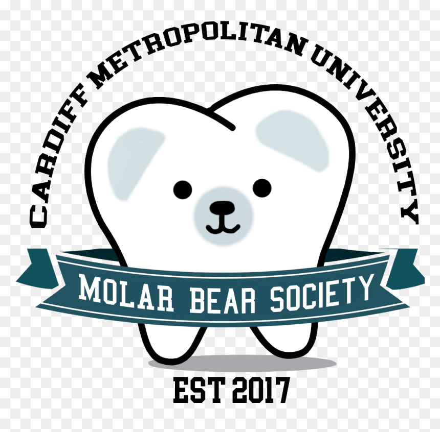 Molar Bears Logo , Png Download - Logo, Transparent Png - bears logo png