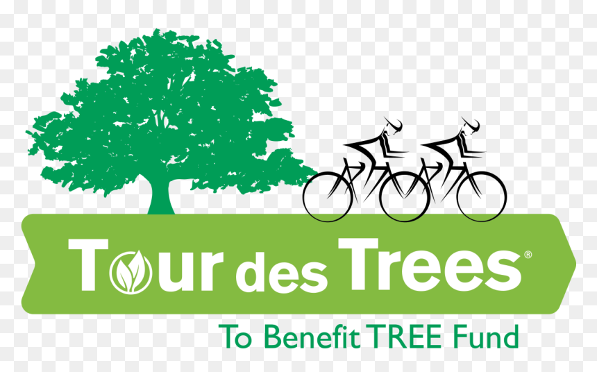 Tour Des Trees 2018, HD Png Download - tree .png