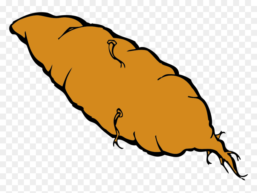 Sweet Potato Clip Art, HD Png Download - sweet potato png