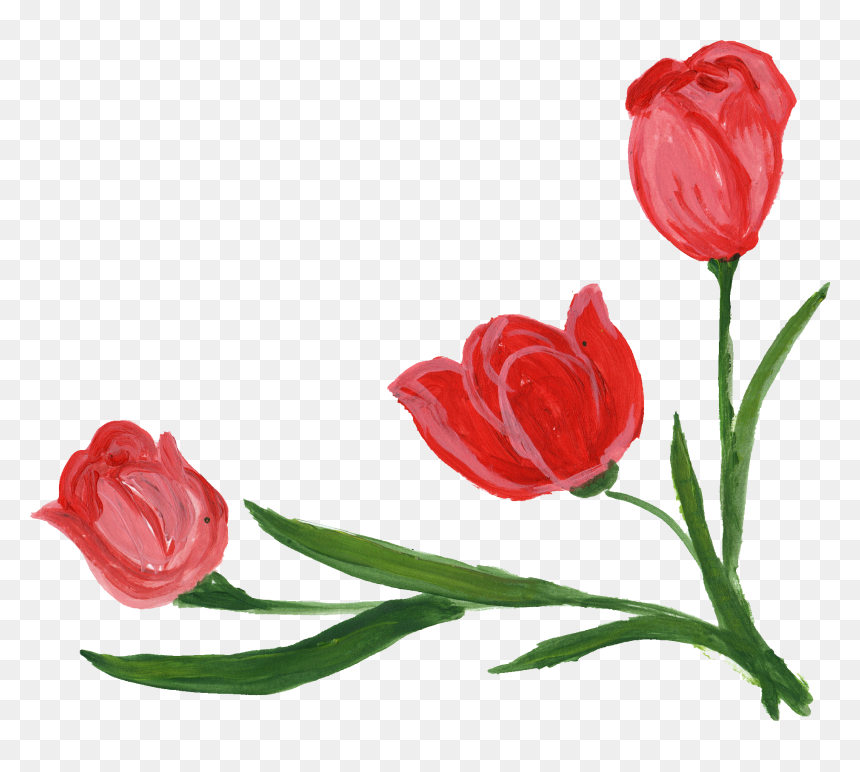 Portable Network Graphics, HD Png Download - flower stem png