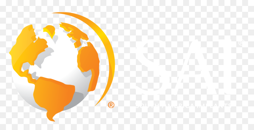 Graphic Design, HD Png Download - south america png