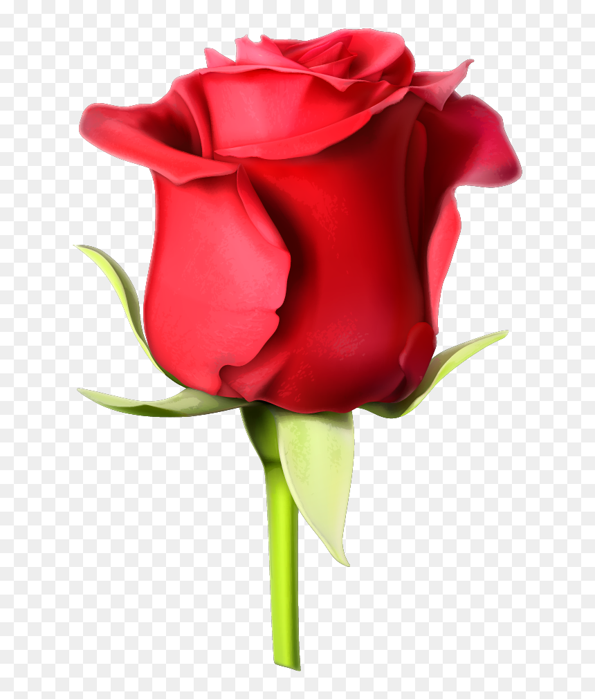 Rose Pic Download Full Hd, HD Png Download - rose emoji png
