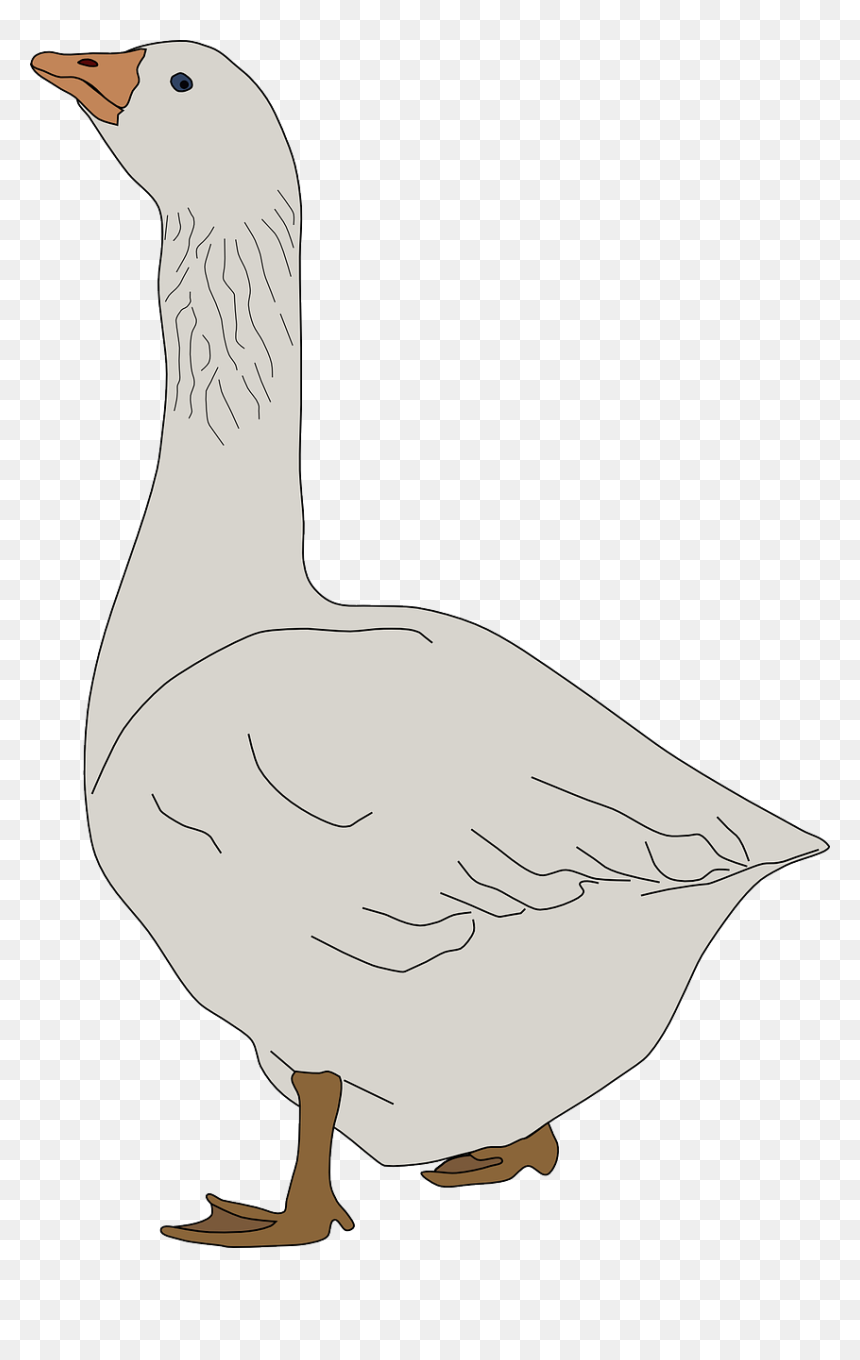 Goose Clipart, HD Png Download - goose png