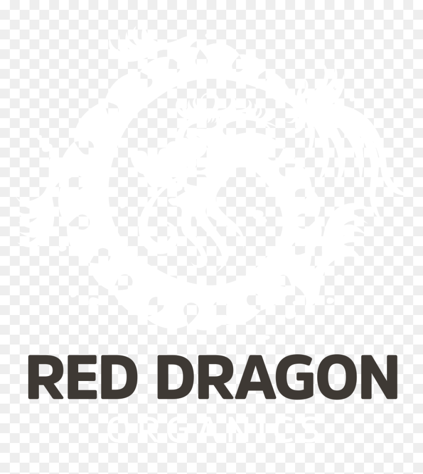 Transparent Dragon Symbol Png - Illustration, Png Download - red dragon png