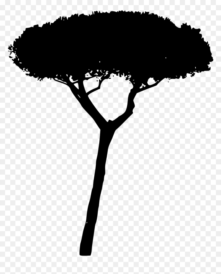 Tree Trees Silhouette 4trueartists Hd Contour Backlit - Portable Network Graphics, HD Png Download - trees silhouette png