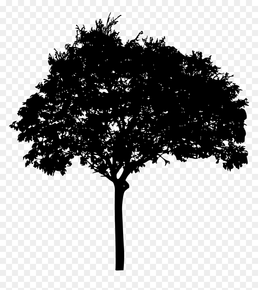 Tree Silhouette High Resolution , Png Download - Silhouette Tree Clipart Transparent, Png Download - trees silhouette png