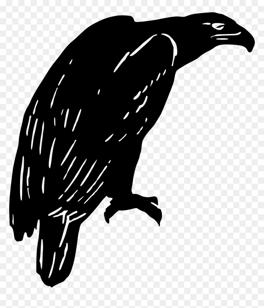 Silhouette, HD Png Download - eagle silhouette png