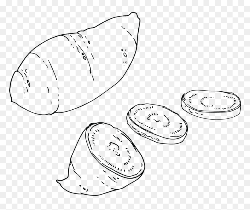 Sketch, HD Png Download - sweet potato png
