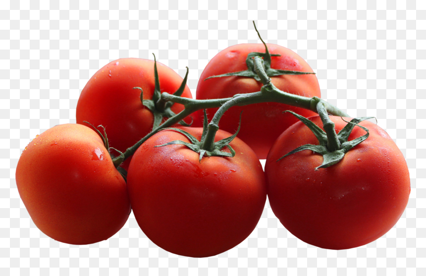 Tomatoes Branch Png Picture - Transparent Background Tomato Images Png, Png Download - tomato plant png