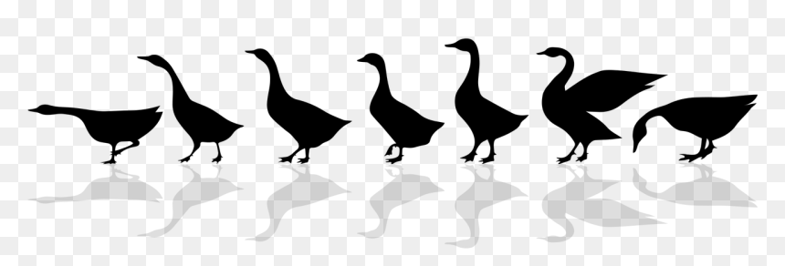 Walking Geese Silhouette, HD Png Download - goose png