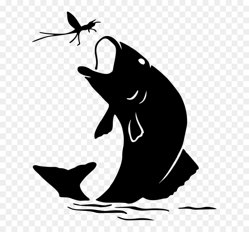 Fishing Silhouette Clip Art, HD Png Download - dragonfly silhouette png