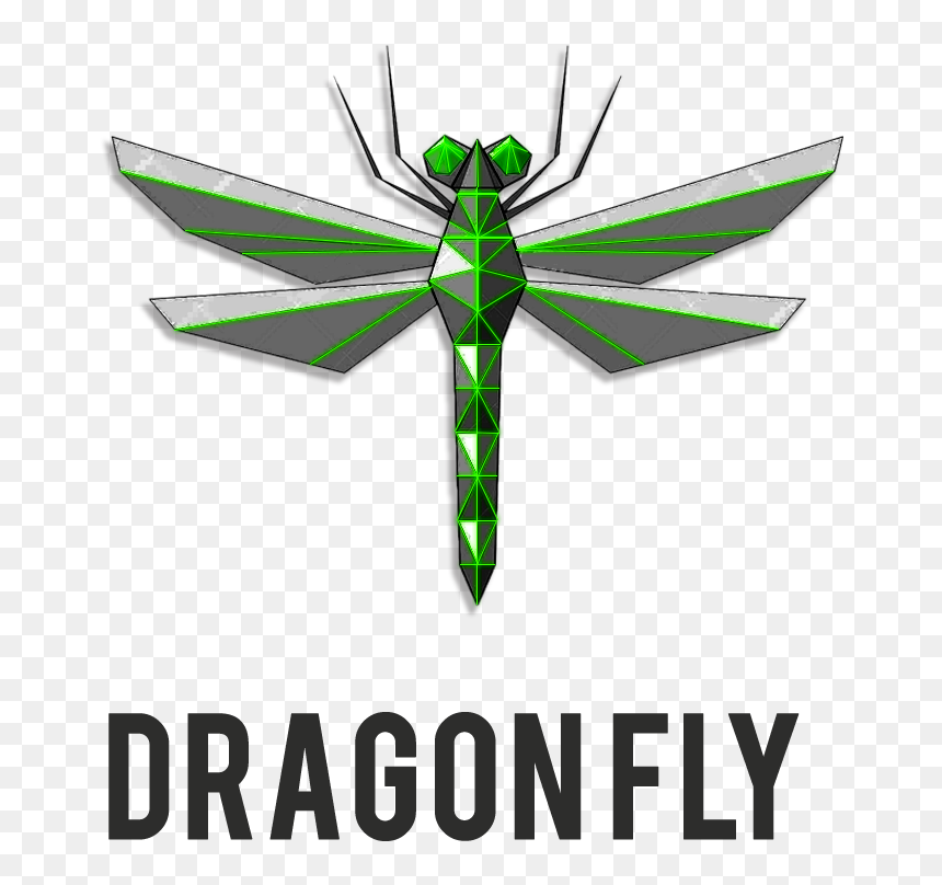 Minute To Win It Paper, HD Png Download - dragonfly silhouette png