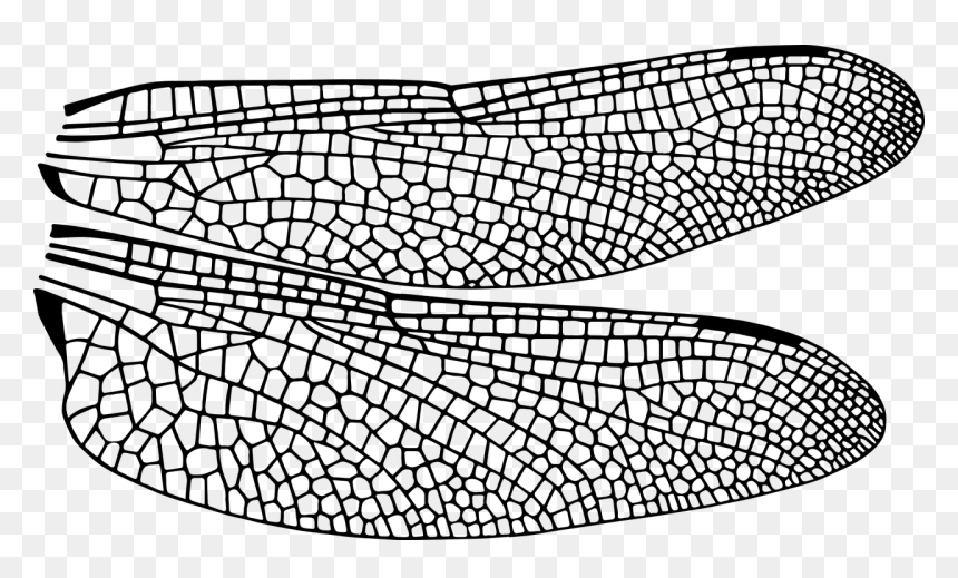 Asa De Inseto Png, Transparent Png - dragonfly silhouette png