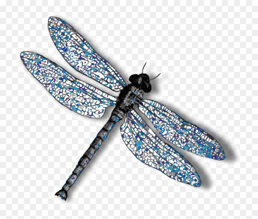 Dragonfly No Background, HD Png Download - dragonfly silhouette png
