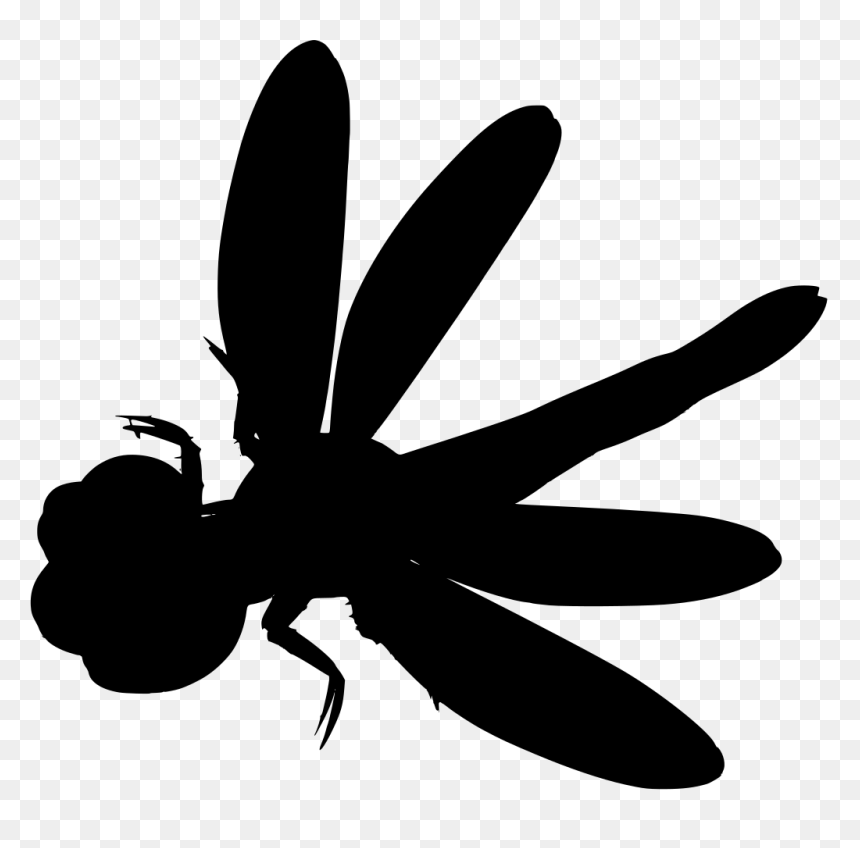 Net-winged Insects, HD Png Download - dragonfly silhouette png