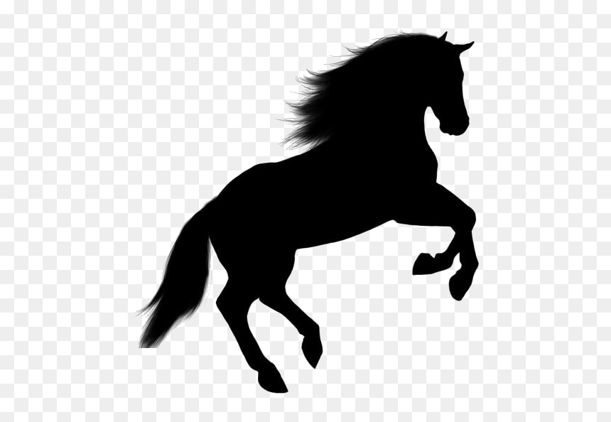 Transparent Background Horse Png, Png Download - jumping silhouette png
