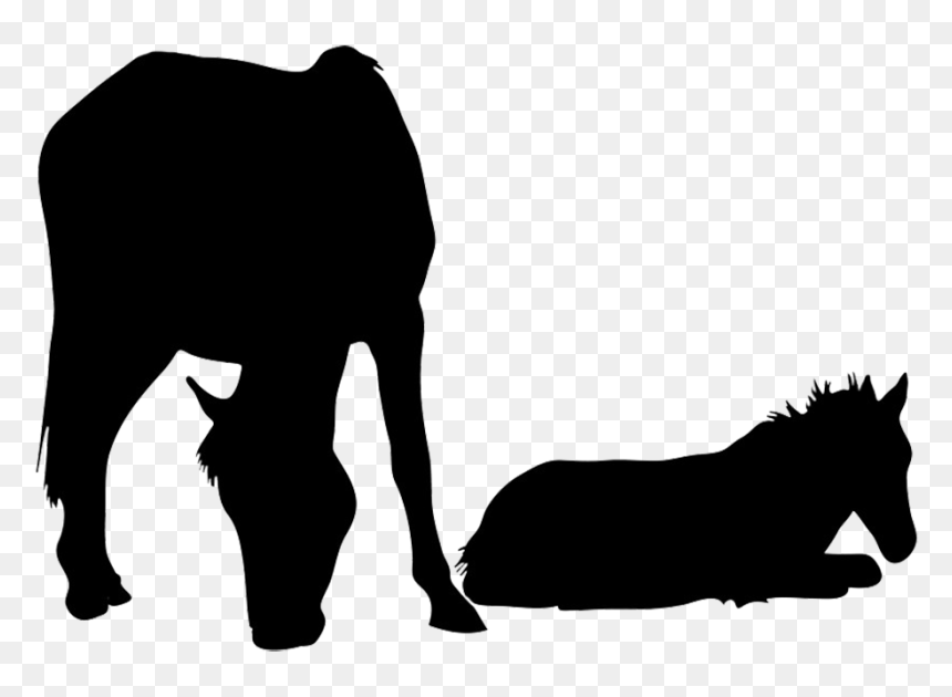Horse And Foal Silhouette, HD Png Download - jumping silhouette png