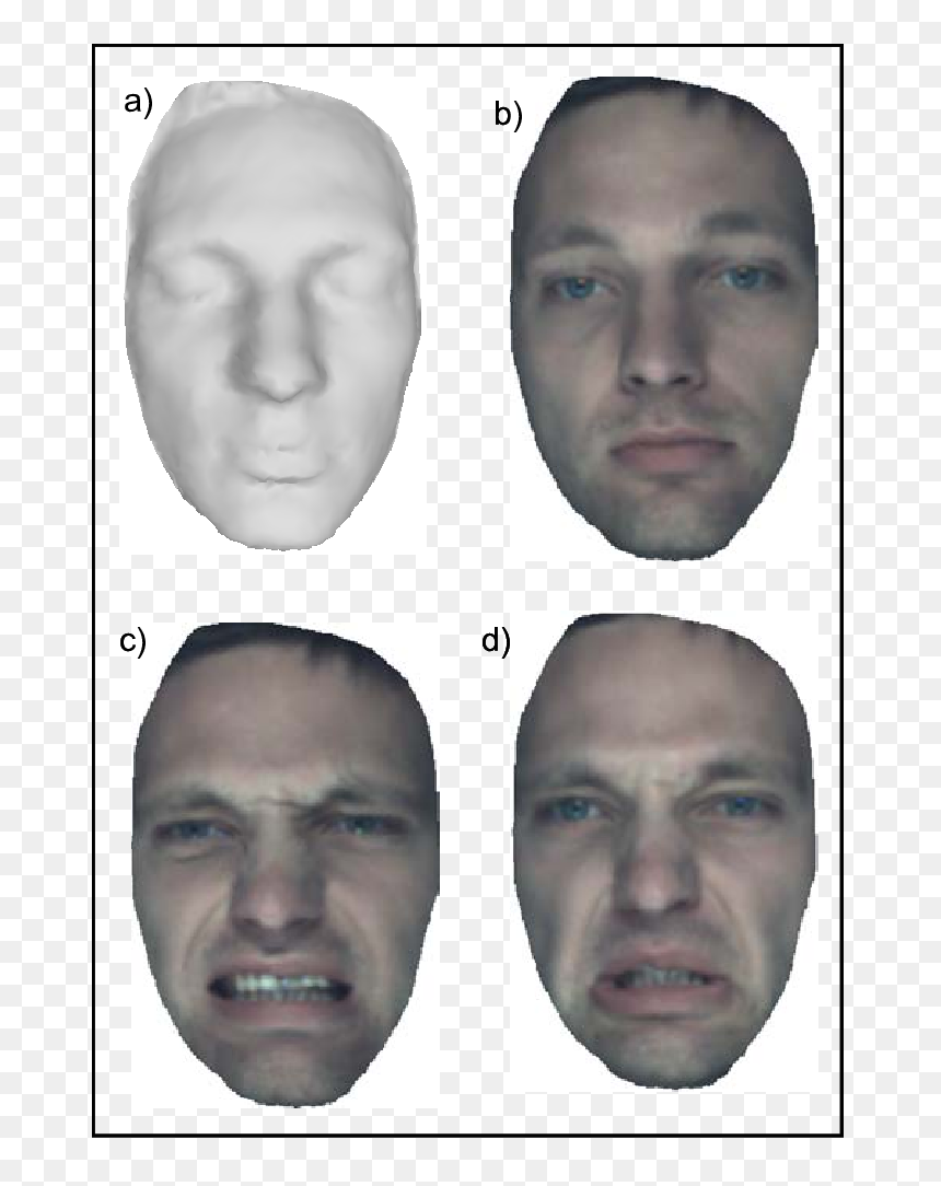 Collage, HD Png Download - model face png
