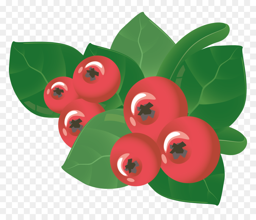 Berry, HD Png Download - holly berry png