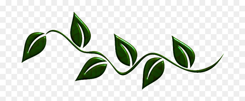 Portable Network Graphics, HD Png Download - leaves border png
